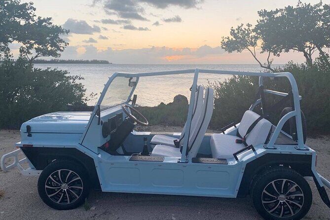 Mini Moke Rental on Marco Island - Key Points