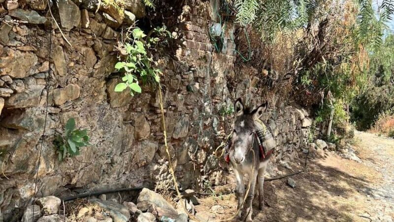 Mining Hike in Guanajuato: Mineral de la Luz and its Veins - The Spectacular Tiro de San José