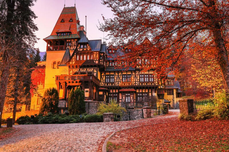 Minivan 8 Places : Dracula Castle, Peles, & Brasov Day Tour - Key Points