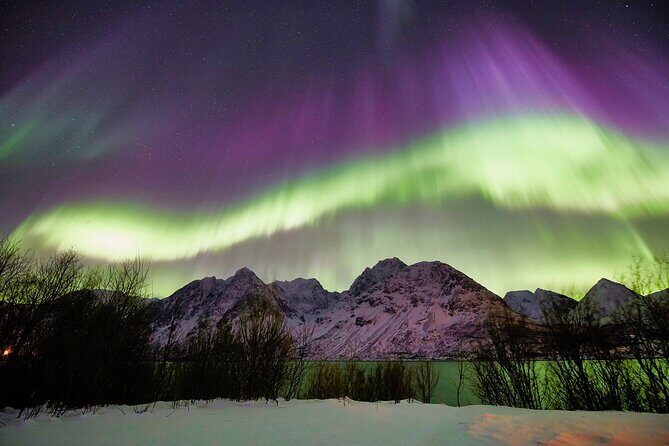 Minivan Northern Lights excursion (8 guests per minivan) - Frequently Asked Questions (FAQs)