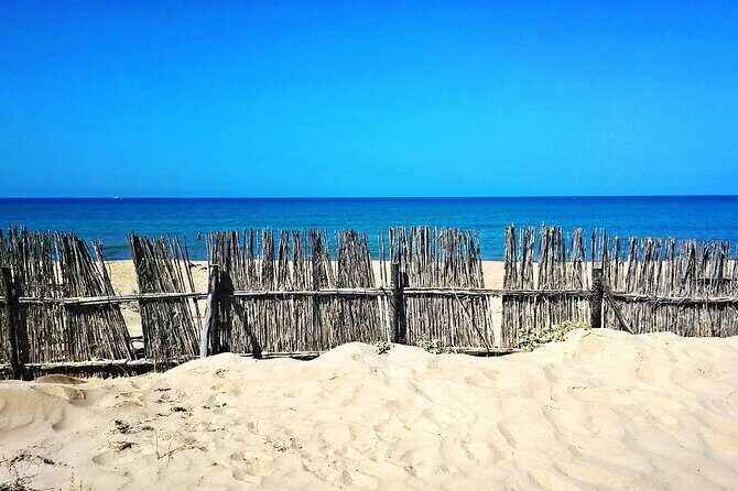 Minivan tour from Syracuse to the most beautiful beaches and Marzamemi - An In-Depth Look at the Itinerary