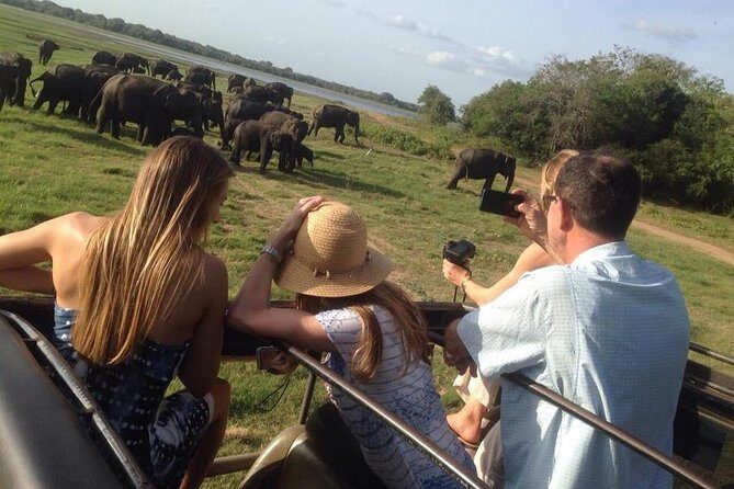 Minneriya Elephant Safari With Sigiriya Rock & Dambulla Cave Temples (Full Day) - Exploring Sri Lanka’s Cultural and Wildlife Gems: Minneriya Elephant Safari, Sigiriya, and Dambulla