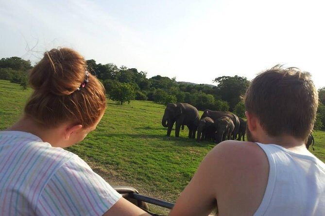Minneriya Elephant Safari With Sigiriya Rock & Dambulla Cave Temples (Full Day) - Who Is This Tour Best For?