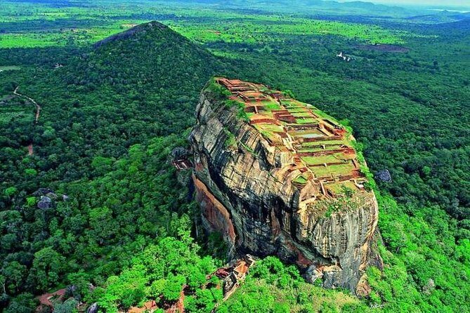 Minneriya Elephant Safari wth Sigiriya Lion Rock from Colombo - Diving Deeper: What to Expect on This Tour