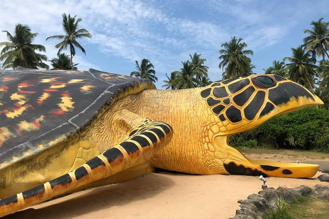 Minneriya National Park and Sigiriya Day Trip from Kalutara - The Sum Up