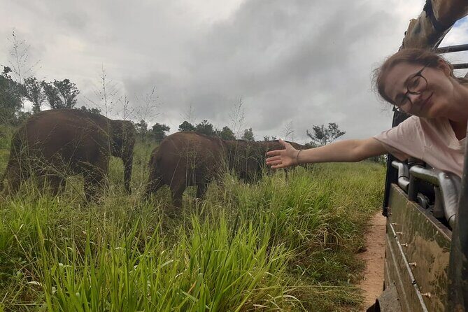 Minneriya National Park Elephant Jeep Safari Private Tour - An In-Depth Look at the Minneriya National Park Jeep Safari