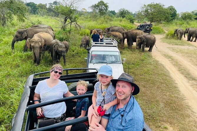 Minneriya National Park Half day Jeep Safari with Hotel Pickup - Why Choose the Minneriya National Park Half-Day Jeep Safari?