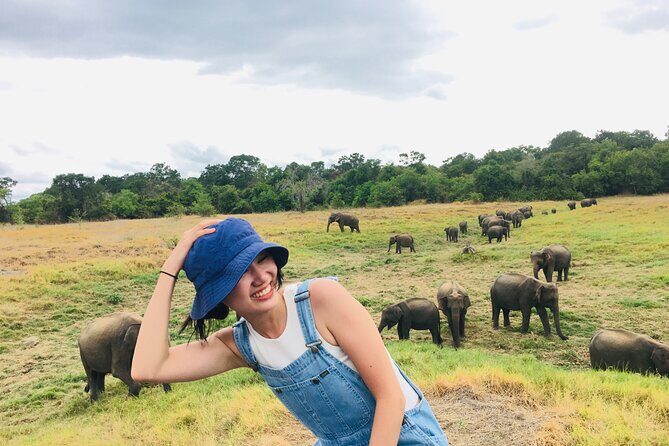 Minneriya National Park halfday Safari - The Value Proposition