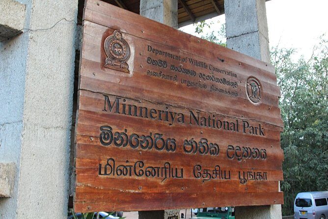 Minneriya National Park | Private Safari - An In-Depth Look at Minneriya National Park Safari