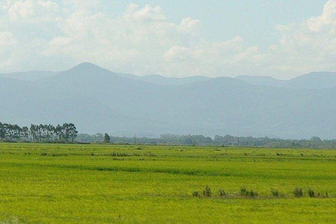 Minneriya National Park | Private Safari - Wrapping Up: Who Should Consider This Safari?