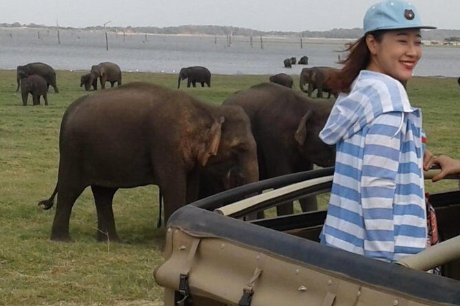 Minneriya National Park private safari - Who is this safari best suited for?