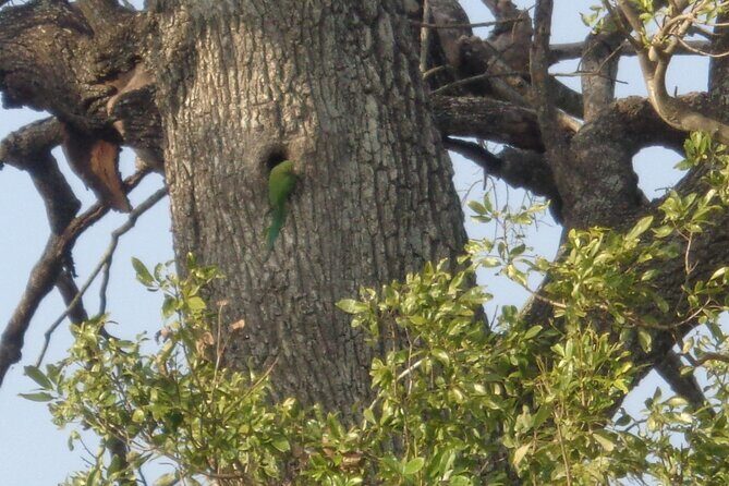 Minneriya National Park Private Safari from Habarana - The Sunset Photo Opportunity at Giritale