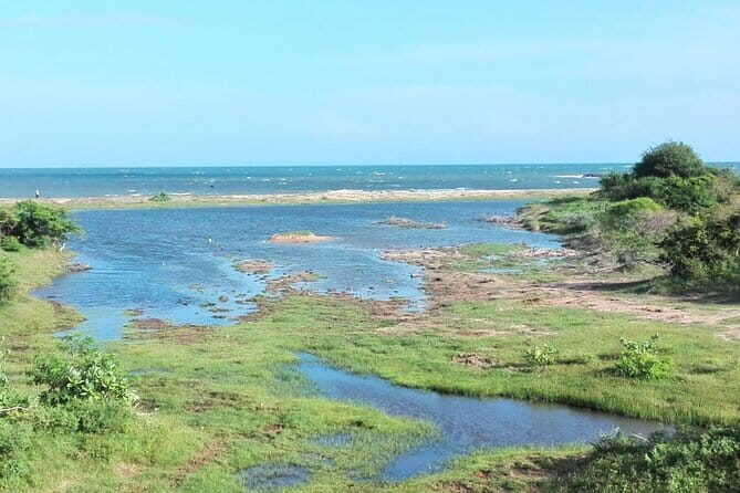 Minneriya National Park Safari | Jeep with Tickets - Who Should Consider This Safari?