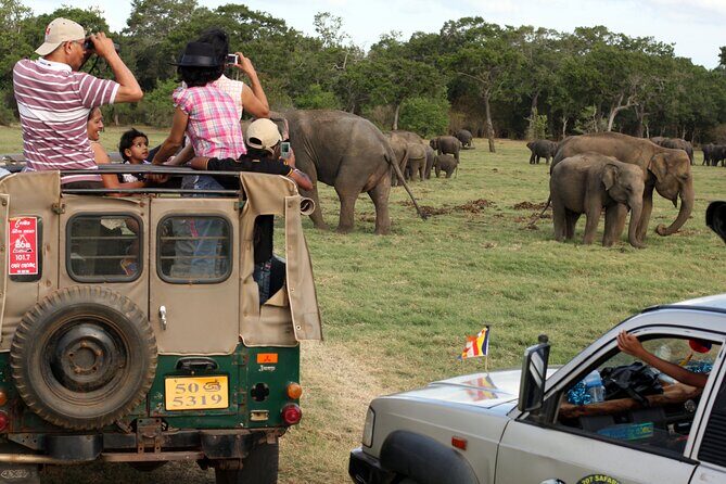 Minneriya Safari Tour from Sigiriya - FAQ