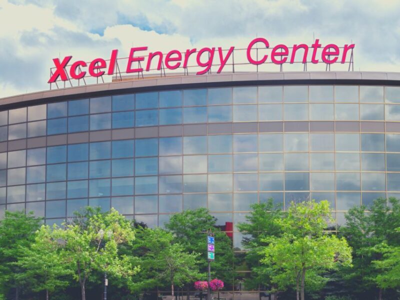 Minnesota: Minnesota Wild Ice Hockey Game Ticket - Key Points