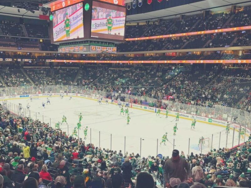 Minnesota: Minnesota Wild Ice Hockey Game Ticket - Seating Options and Views