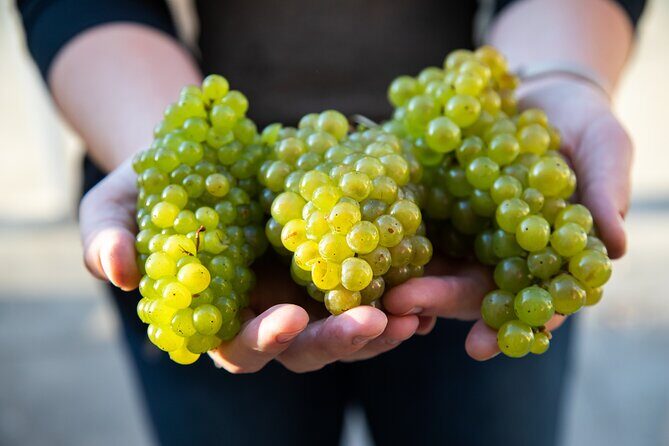 Minoan Crete: Knossos Palace, Winery Visit and Lunch at Archanes - FAQs