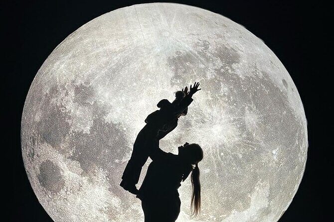 Miracle at Big Rock Christmas Experience Walk Through Ticket - A Bright Holiday Tradition: The Miracle at Big Rock Christmas Experience