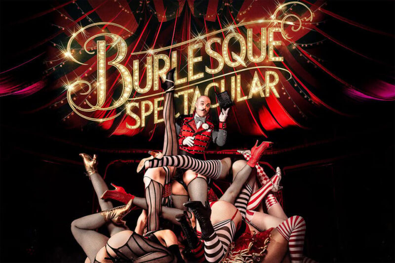Mirage Vienna: Burlesque Spectacular - Dinner Show - Why This Experience Works