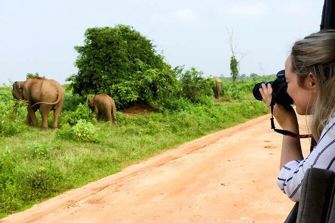 Mirissa to Ella Shuttle & Safari Drive (Breakfast included) - Who’s This Tour Best For?