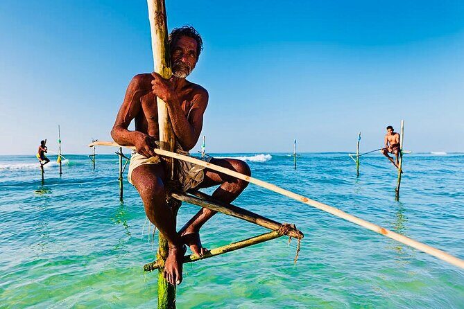Mirissa Whale watching, Stilt Fishing & Turtle Tour From Colombo - FAQs About the Tour
