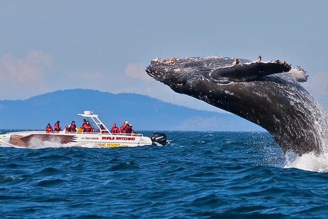 Mirissa Whale watching, Stilt Fishing & Turtle Tour From Colombo - Frequently Asked Questions