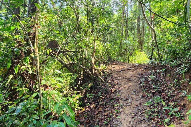 Mismaloya Waterfalls Private Tour in Puerto Vallarta - Who Is This Tour Best For?