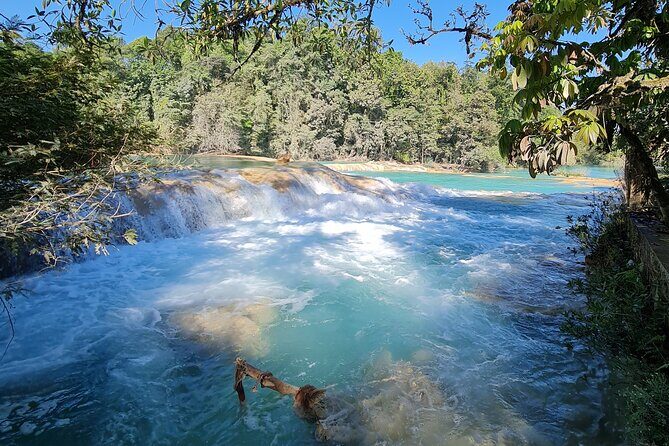 Misol Ha Blue Waterfalls and Palenque Archaeological Area - Why This Tour Works Well
