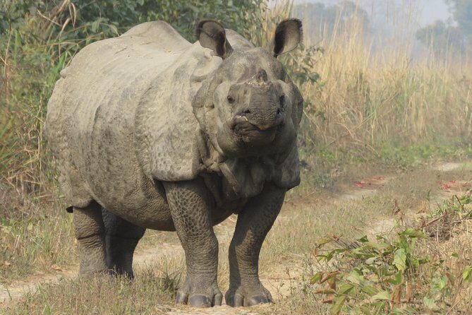 Mission Tiger, 4 days tour inside Chitwan National Park. - The Practical Aspects