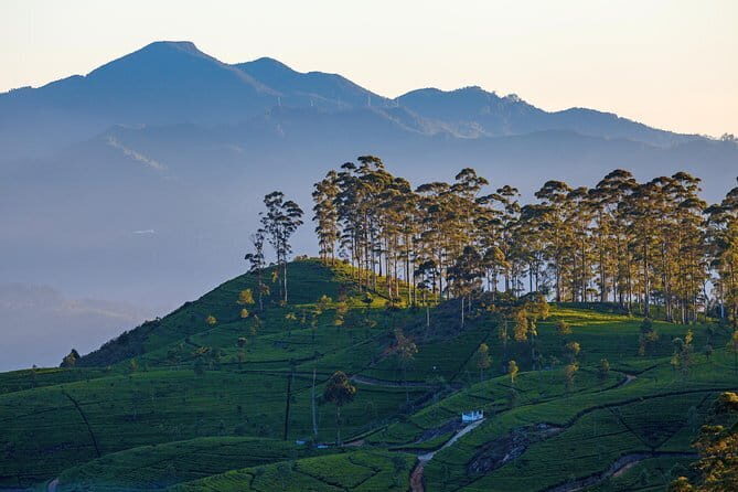 Misty Mountain Trails from Galle (2 Days) - Discovering the Hill Country: A Complete Breakdown