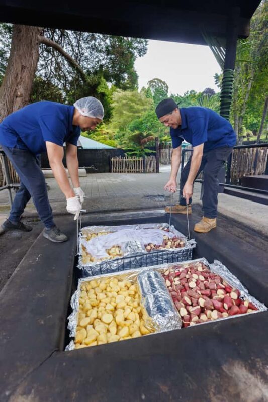 MITAI MAORI VILLAGE Night XP & Polynesian Spa from Auckland - Final Thoughts: A Day Well-Spent in Rotorua