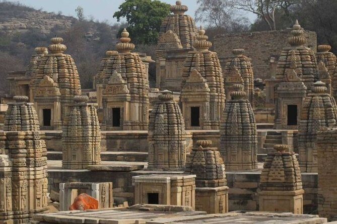 Mitawali, Padawali & Bateshwar Temple (Day excursion from Gwalior) - An In-Depth Look at the Tour Experience