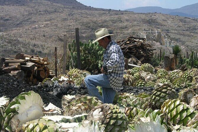 Mitla, Tule, Hierve el agua and Teotilán - FAQ