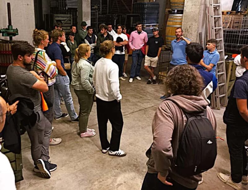 Mittelwihr: Christmas of yesteryear at the winemaker's - Key Points