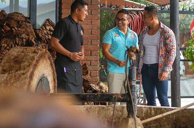 Mixer - Who Should Consider This Tour?