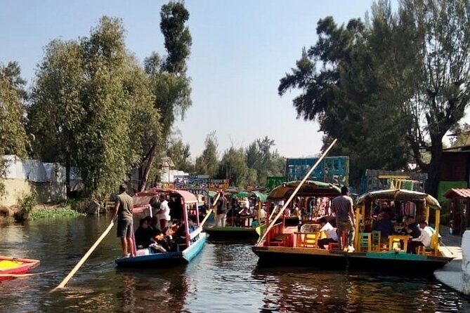 Mixology, Food, Wine and Beer Experience in Xochimilco - What To Watch Out For