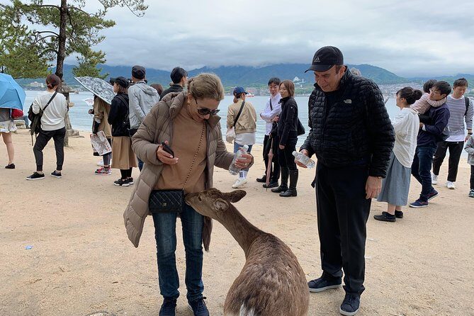 Miyajima Half-day Private Tour with Government Licensed Guide - Practicalities and What to Expect