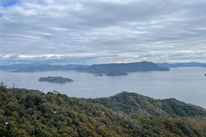 Miyajima Island Tour with Certified Local Guide - Exploring Miyajima with a Certified Local Guide: A Deep Dive