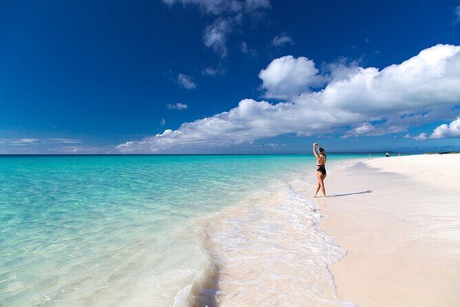 [Miyako Island / Full Day] Sea Turtle Snorkeling & SUP or Canoe - The Sum Up