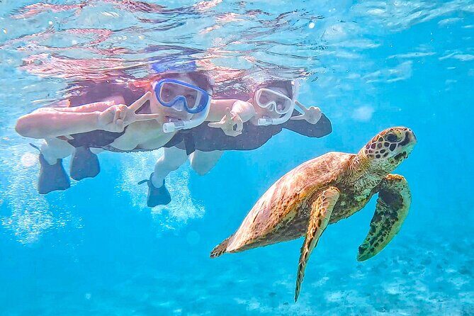 Miyako Two Activities in Half Day SUP and Sea Turtle Snorkeling - Key Points: