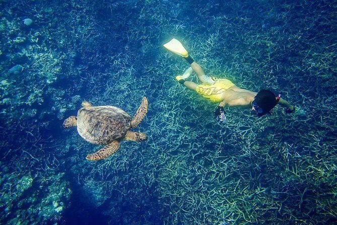 [Miyakojima, diving experience] Completely charter than 2 people Sea turtle and shark sometimes Madaratobiei! Skin diving at deeper points - Meeting Point and Flexibility