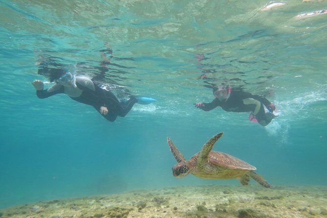 [Miyakojima Snorkel] Private tour from 2 people Let's look for sea turtles! Snorkel tour that can be enjoyed from 3 years old - The Itinerary and What to Expect