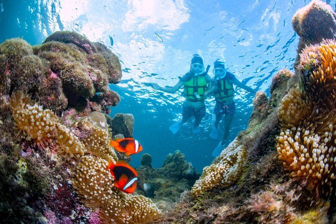 Miyakojima / Snorkel tour to enjoy coral and fish - Key Points