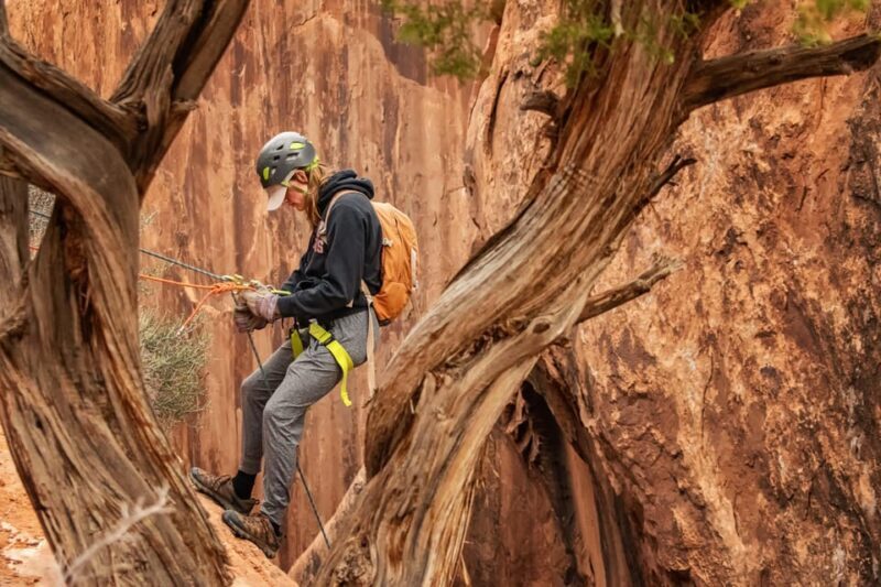 Moab: Fins and Things Canyoneering Adventure tour - Final Thoughts: Is This Tour Worth It?