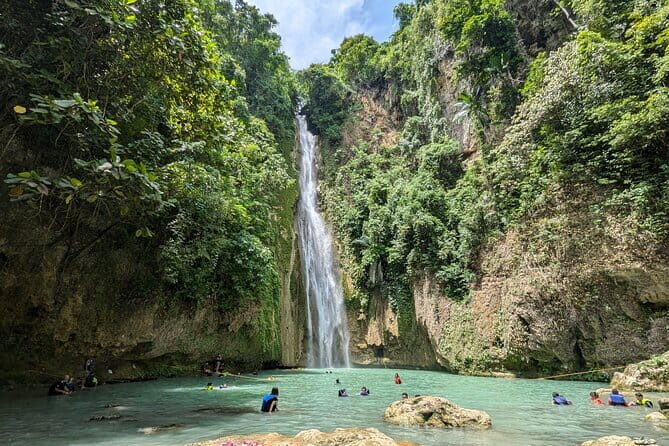 Moalboal Sardine Run, Sea Turtle and Mantayupan Falls - A Deep Dive Into the Cebu Full-Day Experience