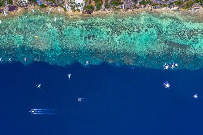 Moalboal Sardines Run Private Tour w/ Transfers Option - FAQs