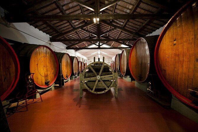 Modena area: Lambrusco Wine Tasting Experience - Cost-Effectiveness and Value