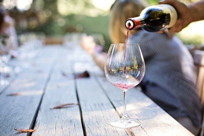Modena area: Lambrusco Wine Tasting Experience - Reviews in the Wild