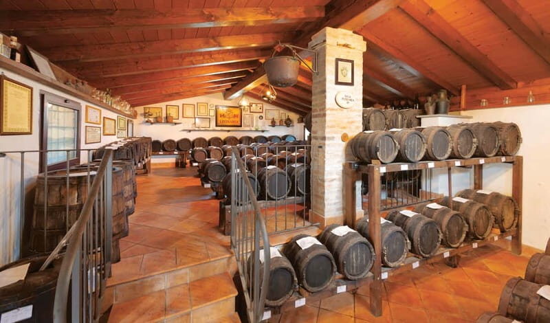 MODENA: BALSAMIC VINEGAR TOUR AND TASTING - Key Points