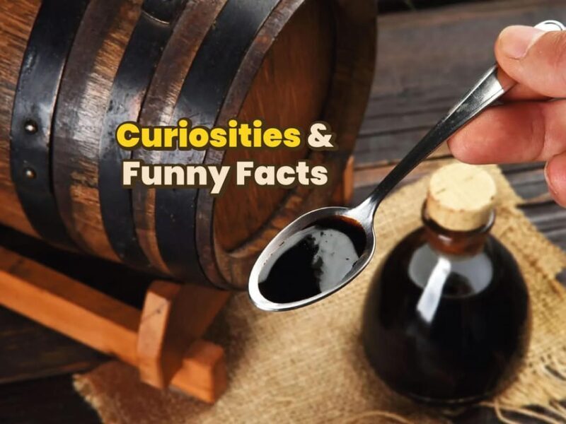 Modena: Digital guide made with a Local for your tour - FAQ